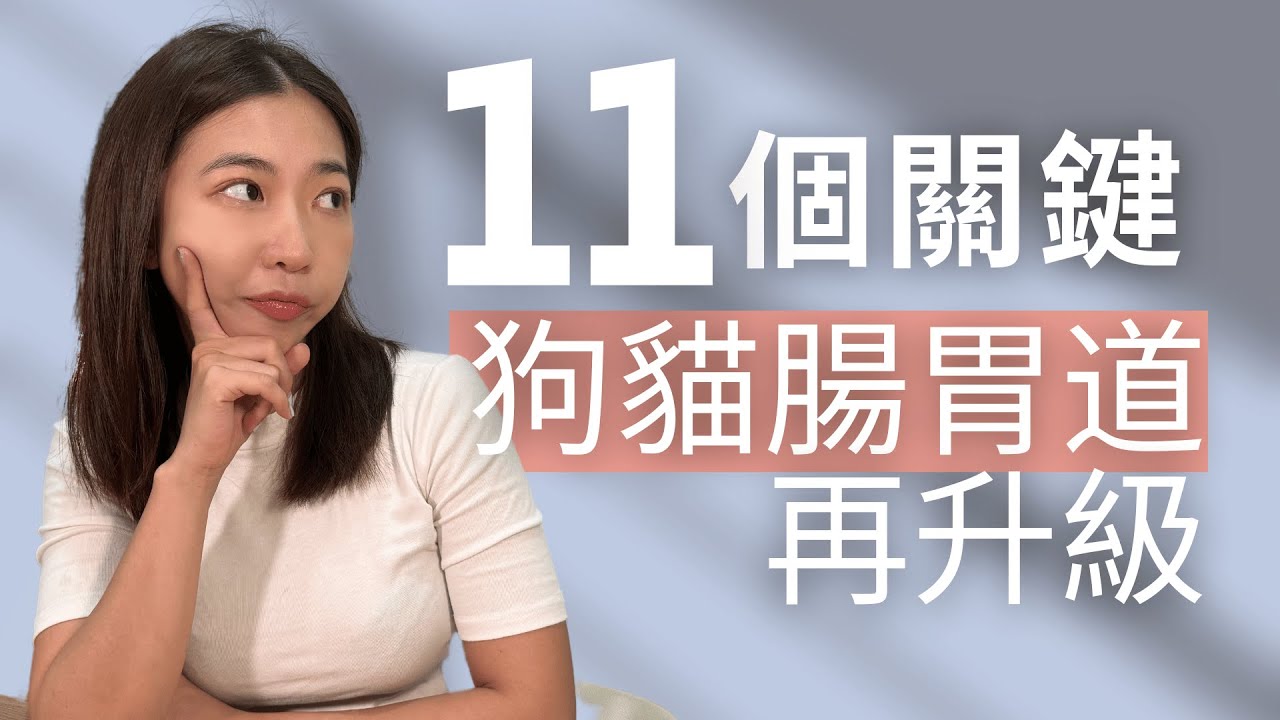 11個優化狗貓胃腸健康的方法！再也不擔心 #拉肚子 #軟便 #便秘