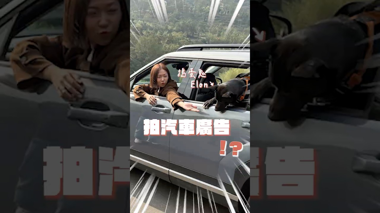 🐶我們家出了廣告明星？！📸