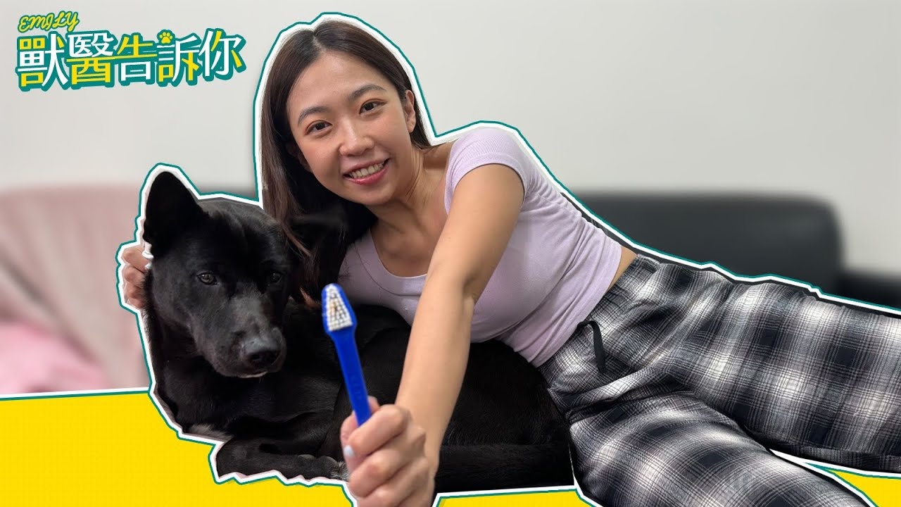 如何幫狗貓刷牙？How to Brush Your Dog's and Cat's Teeth?