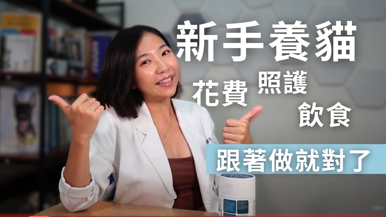 養貓新手村，簡單「3要點」立即上手！