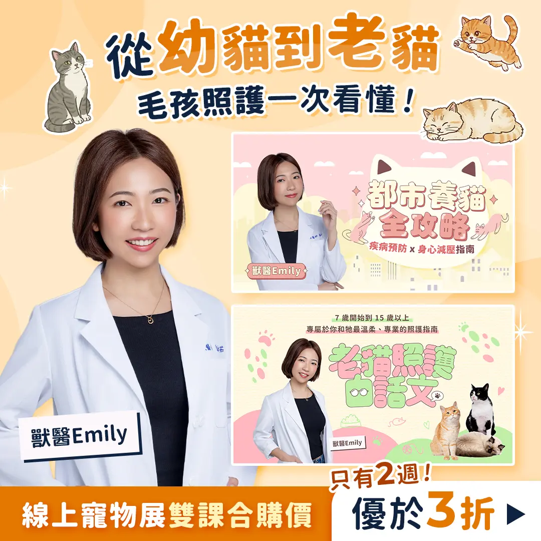 260107 從幼貓到老貓雙課優惠