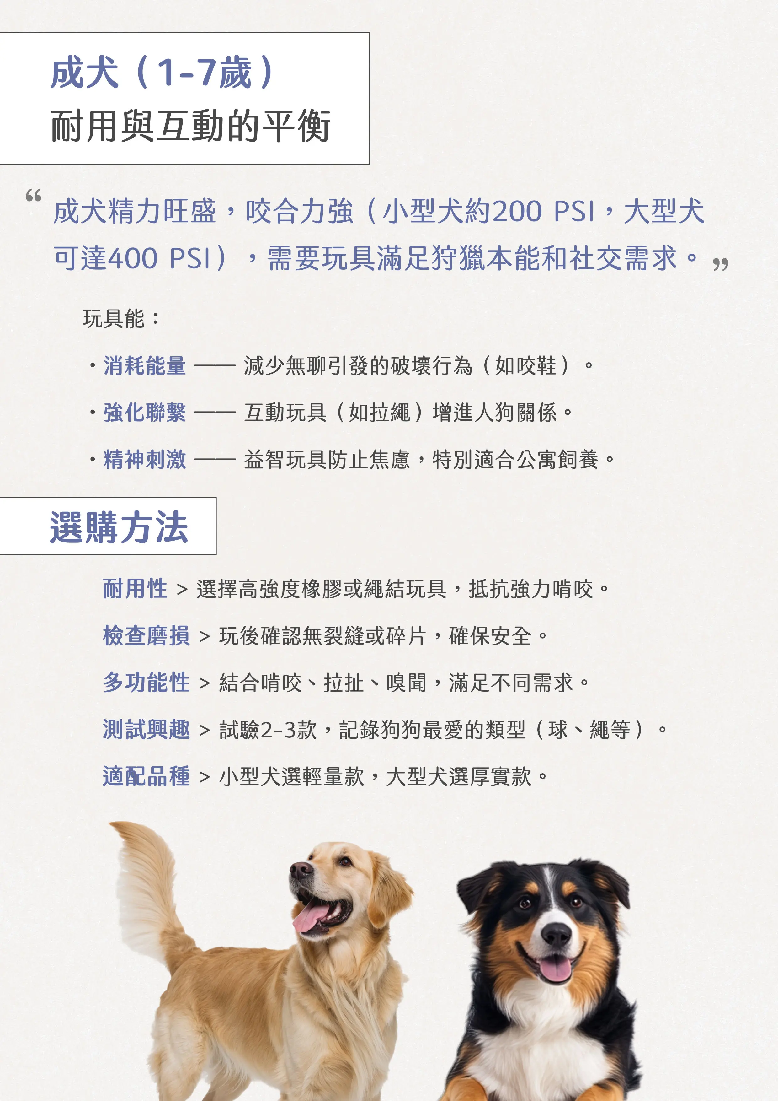 獸醫emily的狗狗玩具選購指南04