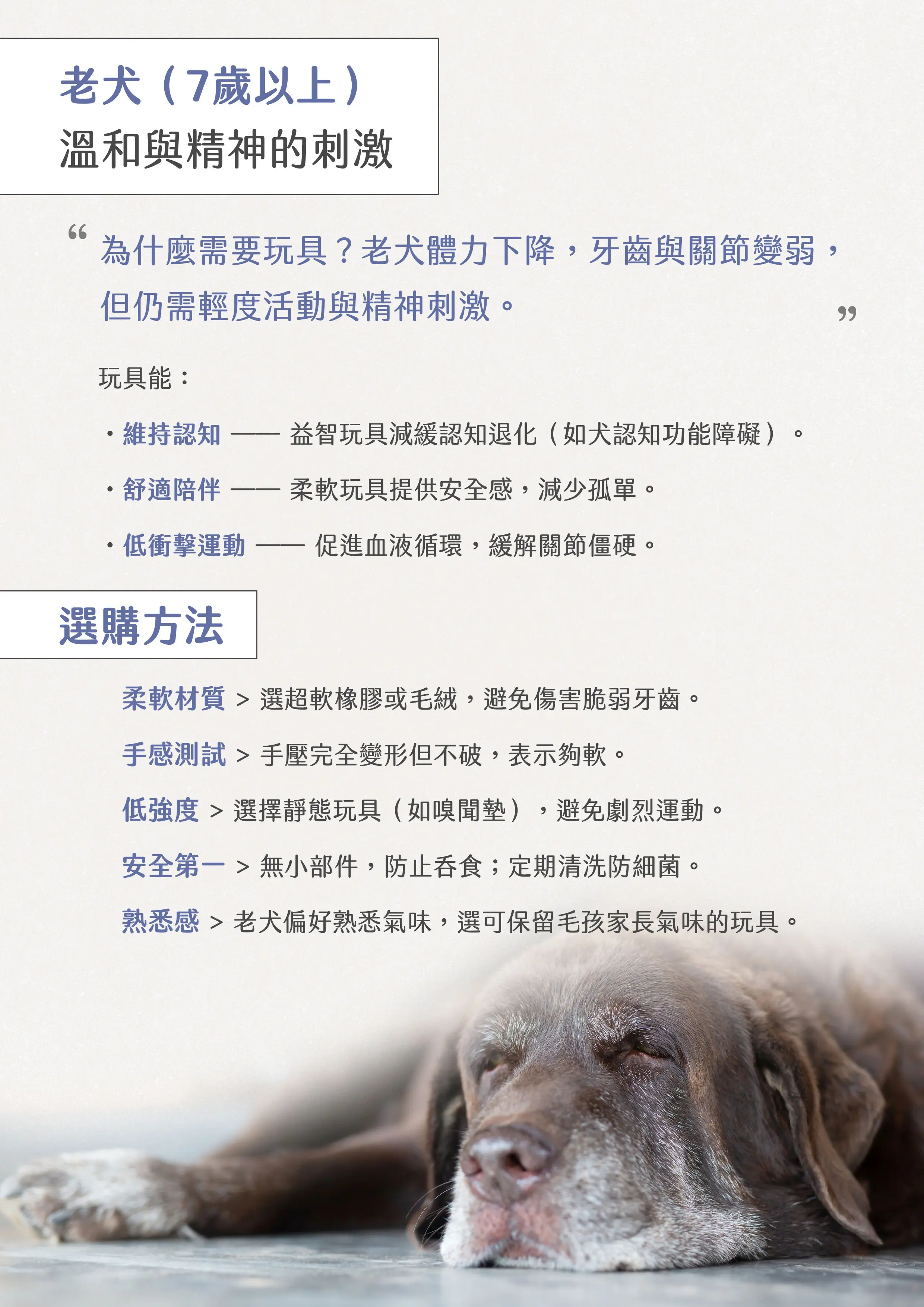 獸醫emily的狗狗玩具選購指南07