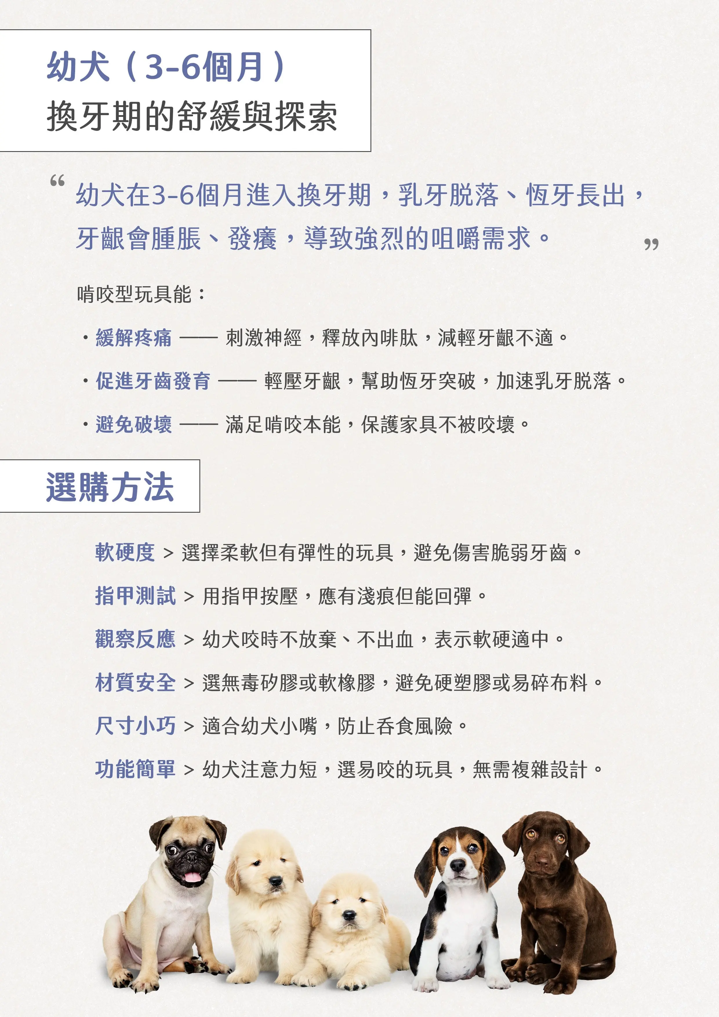 獸醫emily的狗狗玩具選購指南02