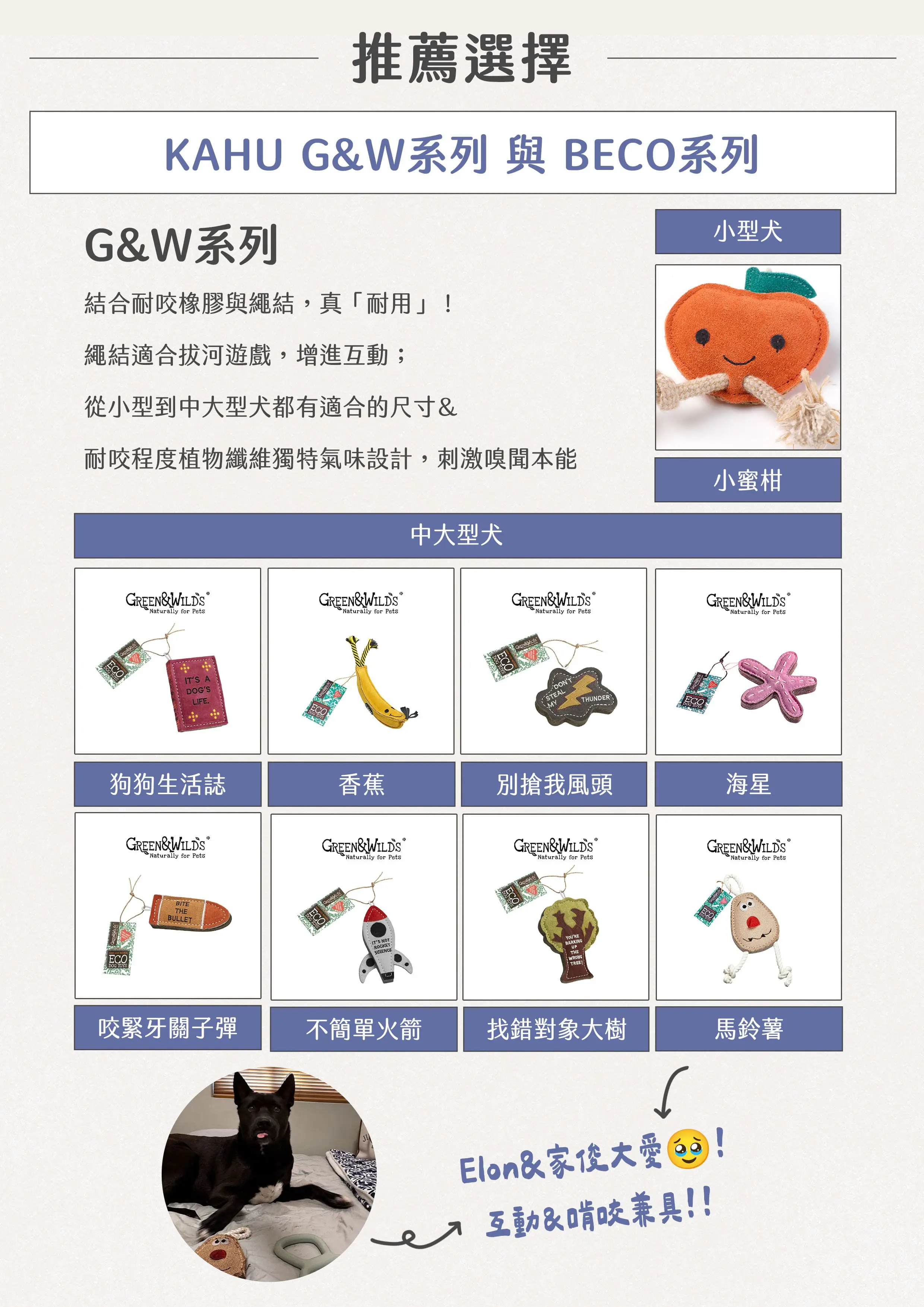 獸醫emily的狗狗玩具選購指南05