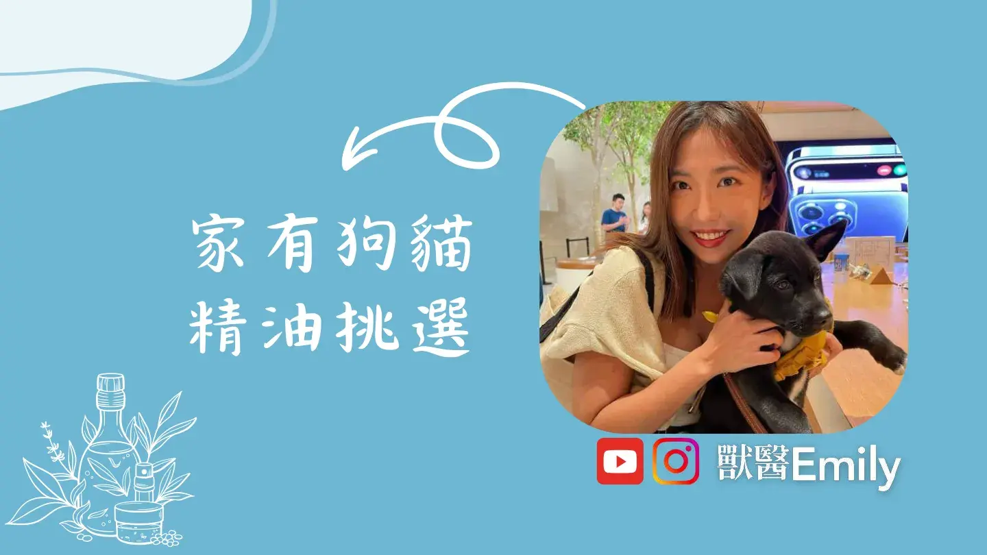 家有狗貓 精油挑選 By獸醫emily 1