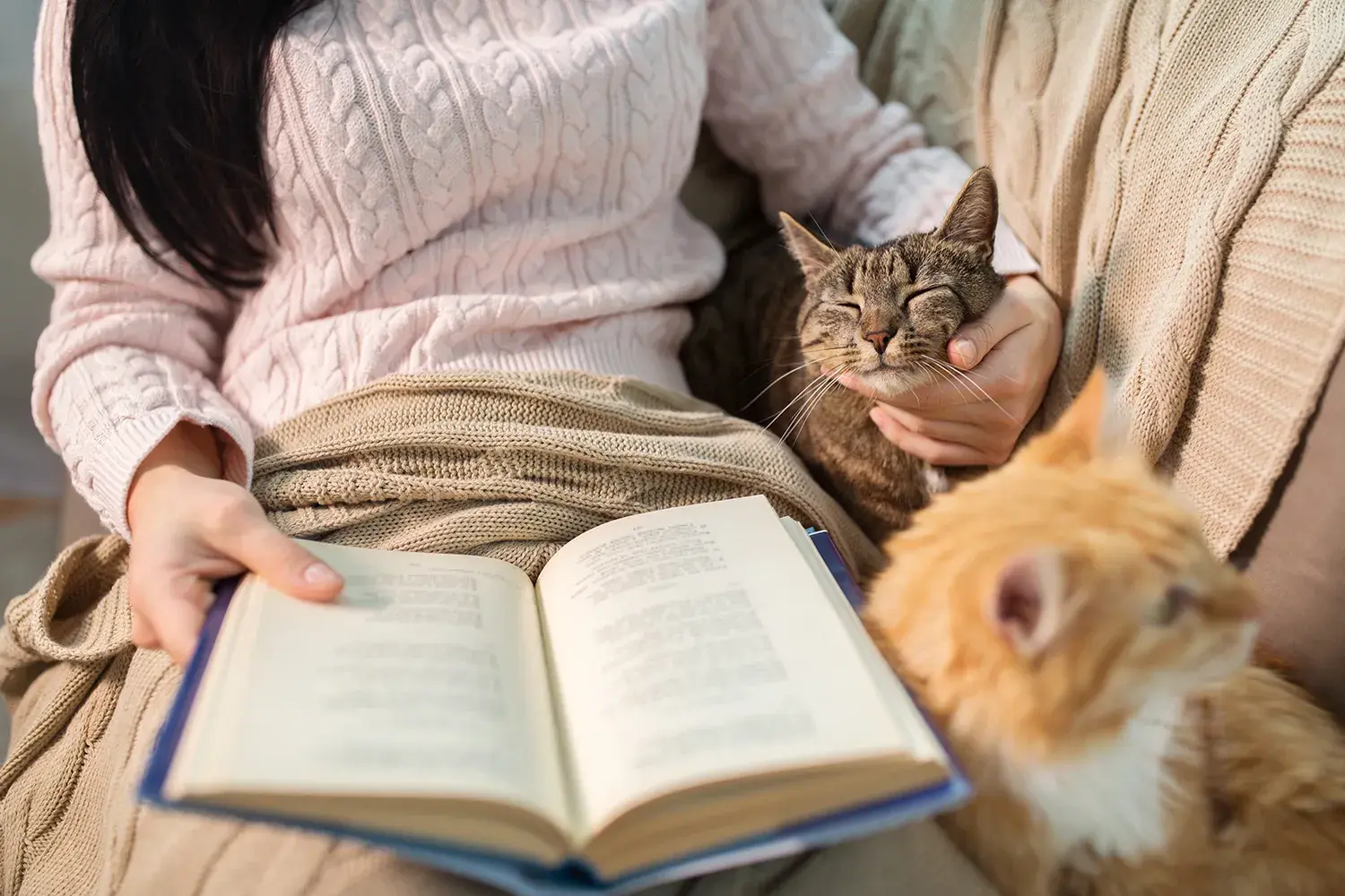 Pets Hygge People Concept Close Up Red Tabby Cat Female Owner Reading Book Bed Home 1