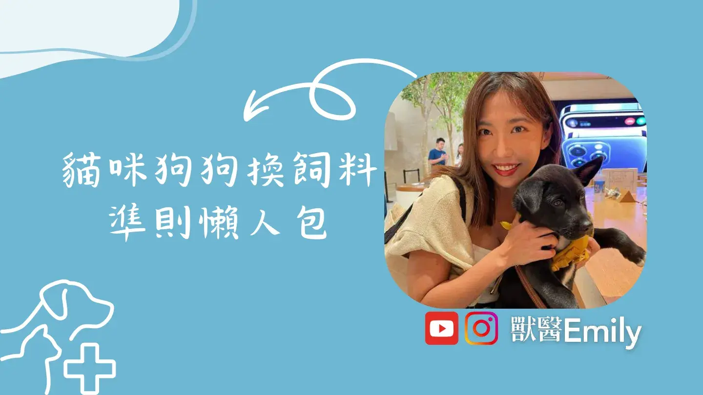 寵物換飼料懶人包by獸醫emily 1