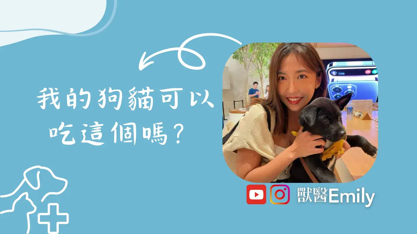 我的狗貓可以吃這個嗎 By獸醫emily 1