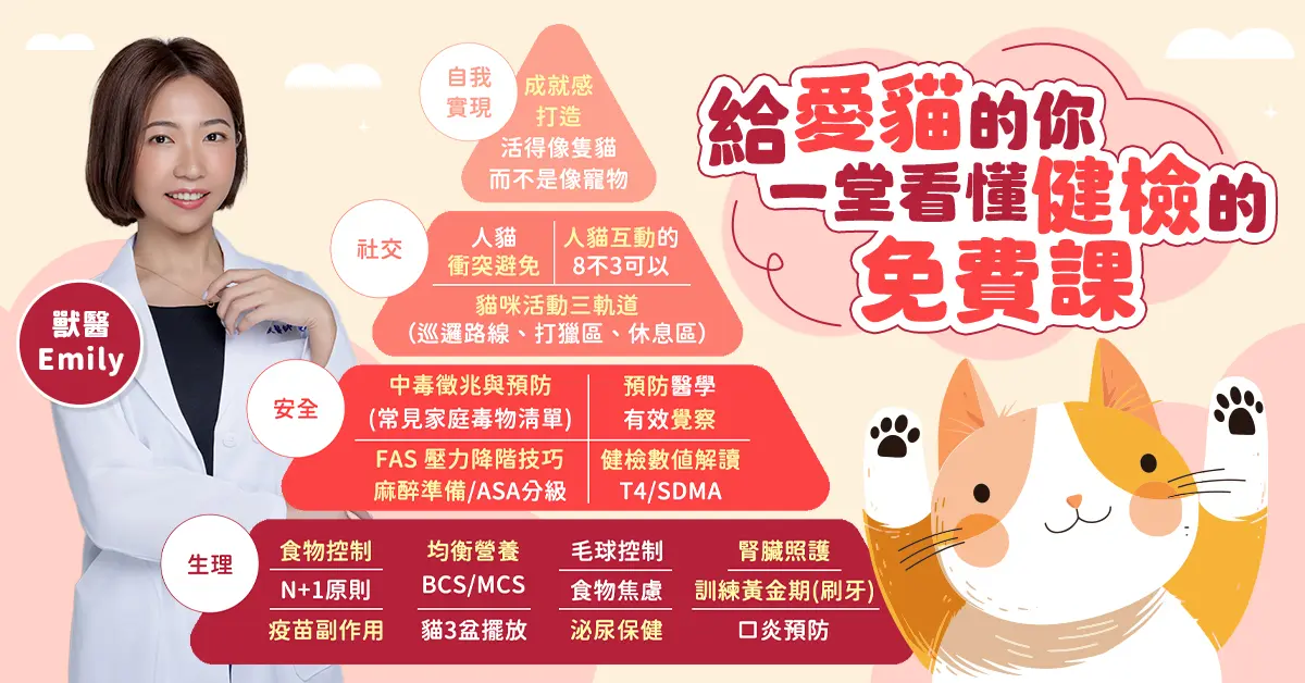 250707 Emily免費課程 0