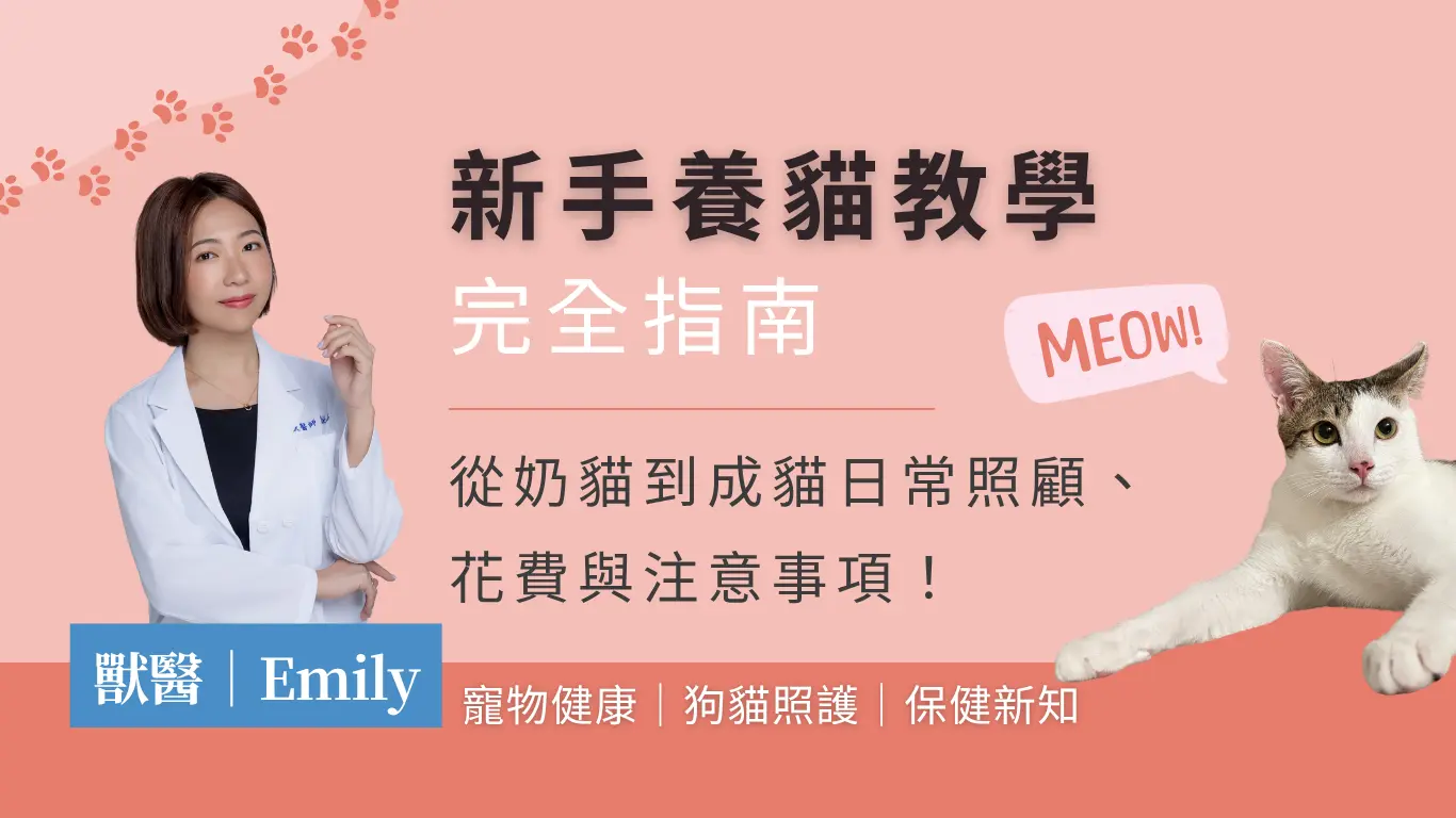 Seo文章首图