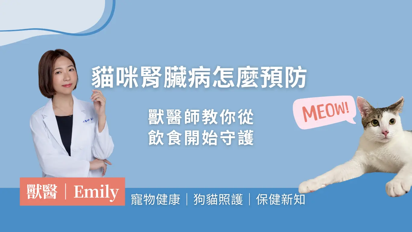 貓咪腎臟病