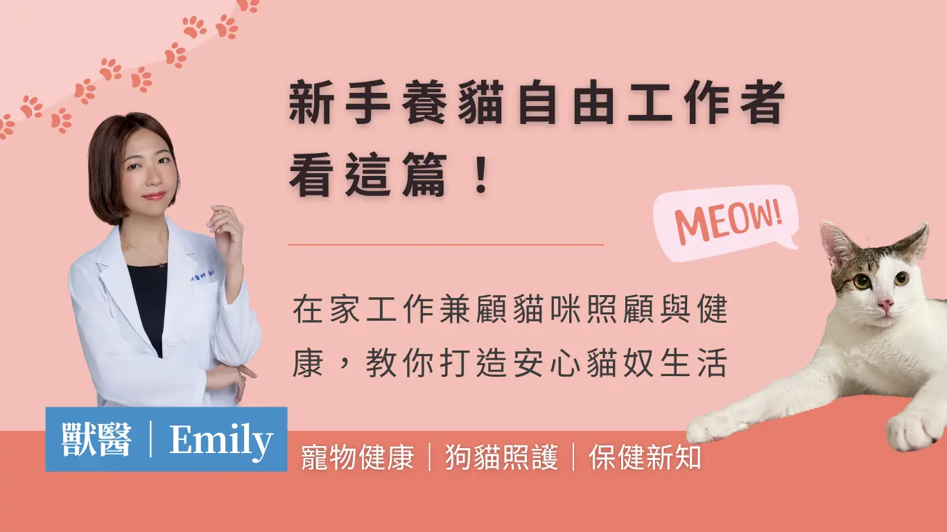 Seo文章首图