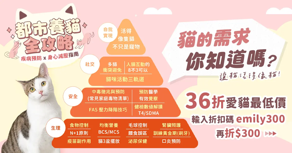 銷售方案