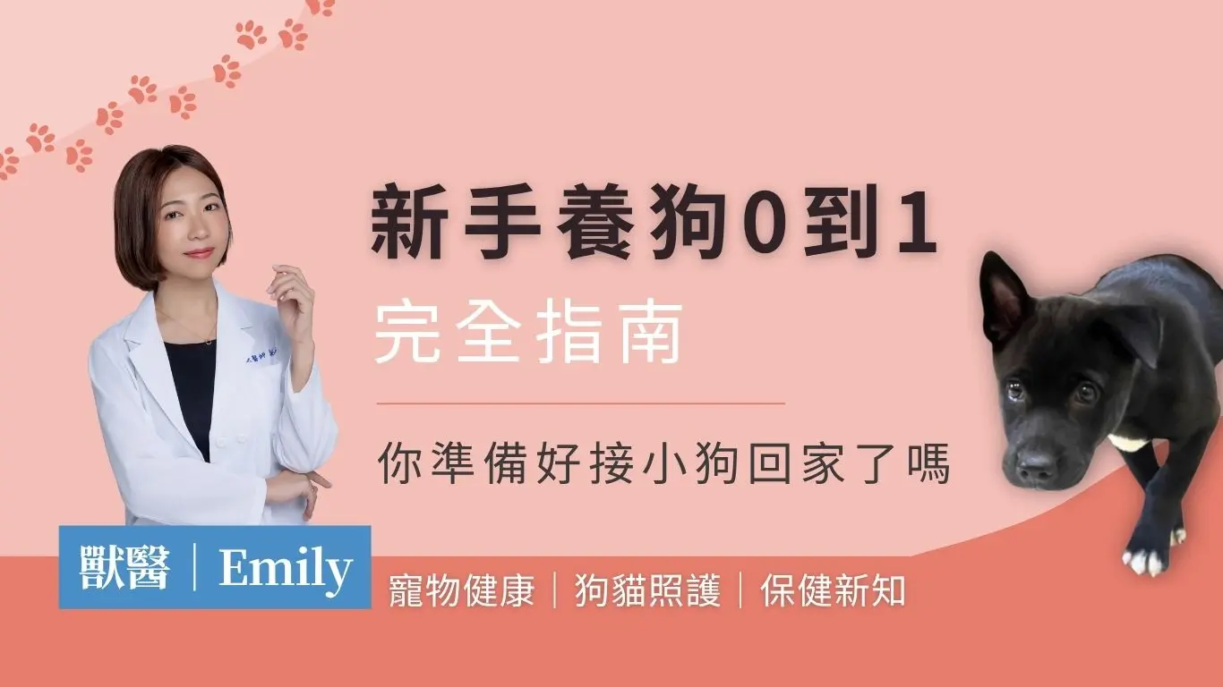 新手養狗0到1最新首圖