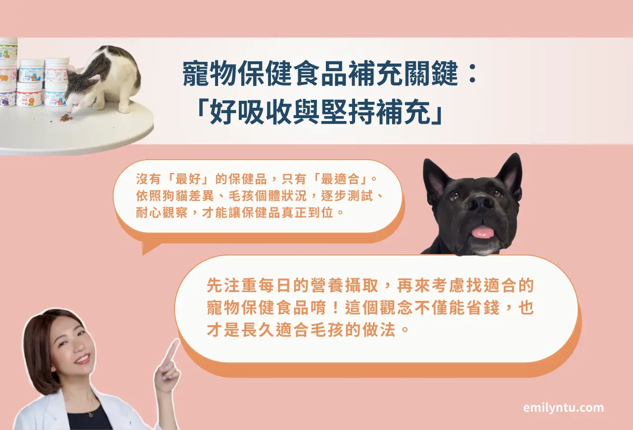 寵物保健食品補充關鍵