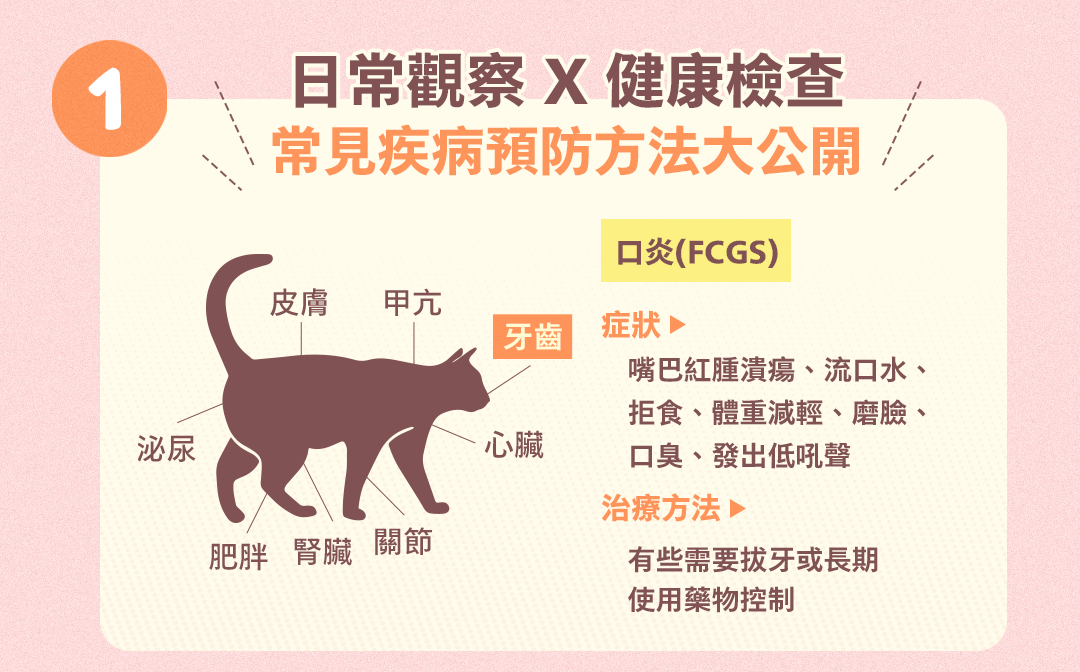 寵物照護課程_05.gif