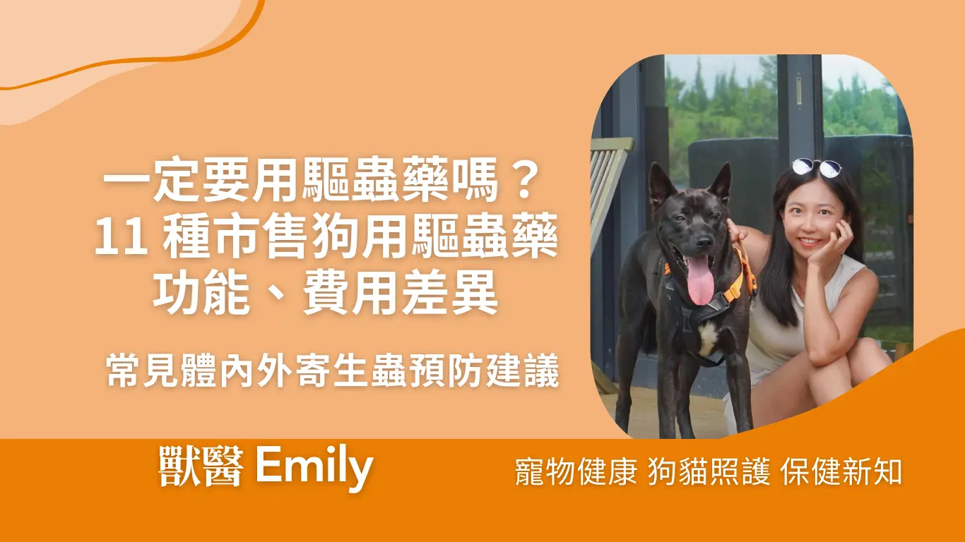 狗驅蟲文章首圖