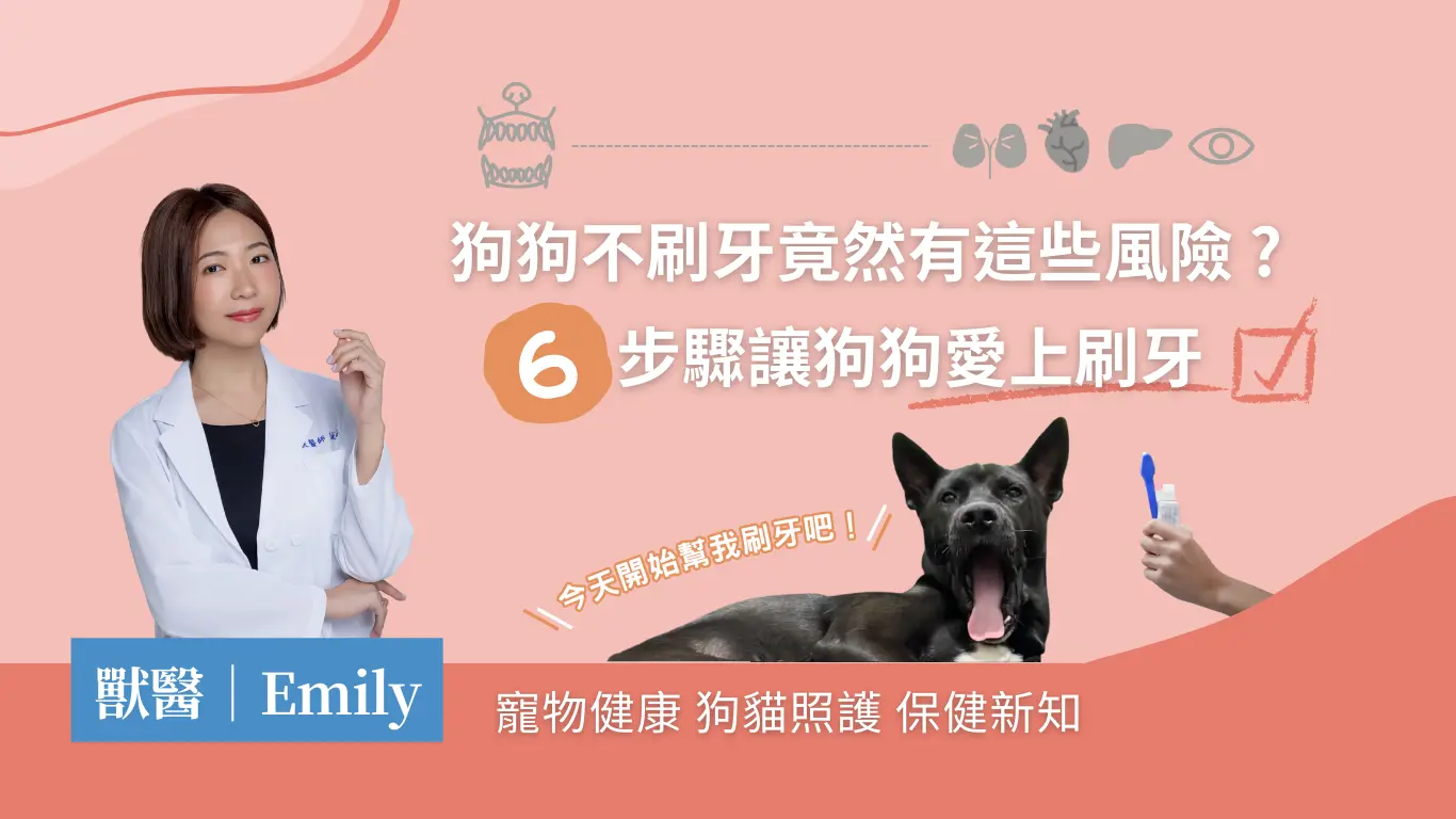 狗狗刷牙文章首圖 新