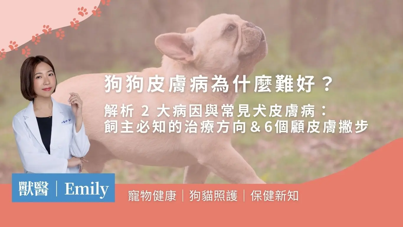 狗狗皮膚病封面圖最終版