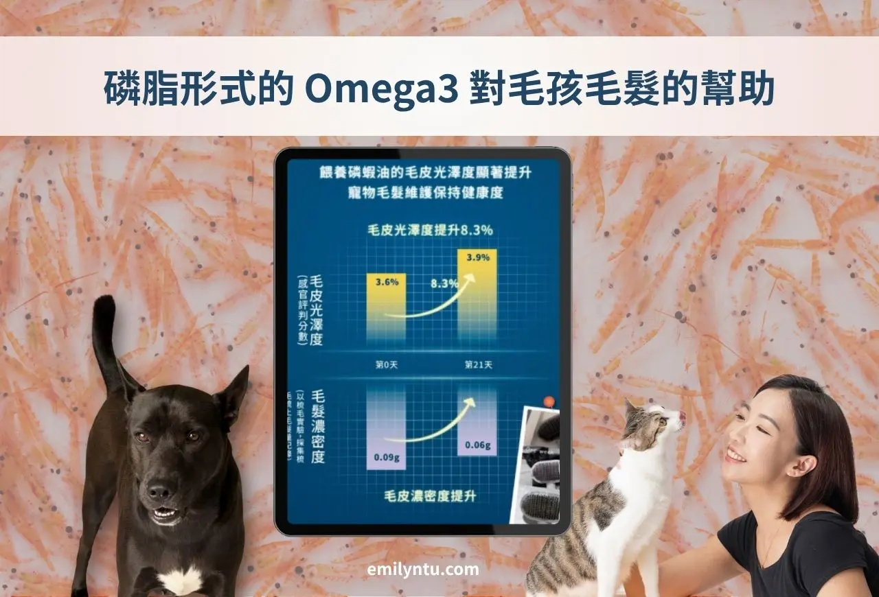 南極磷蝦油對狗貓毛髮品質的幫助。圖 / Emily 團隊製