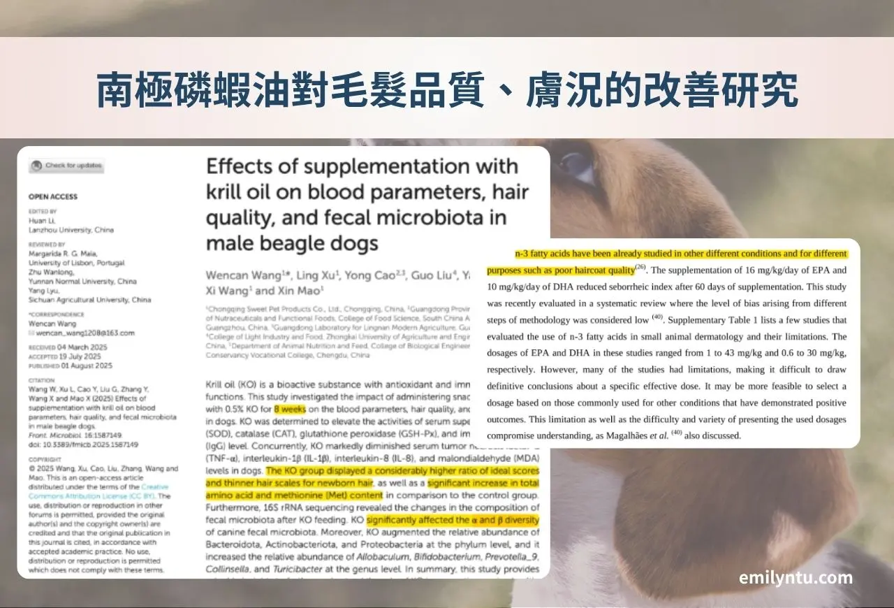 南極磷蝦油對毛孩品質、膚況的改善研究。圖 / Emily 團隊製