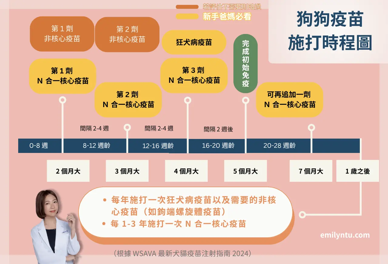 新手爸媽必看的狗狗疫苗施打時程圖