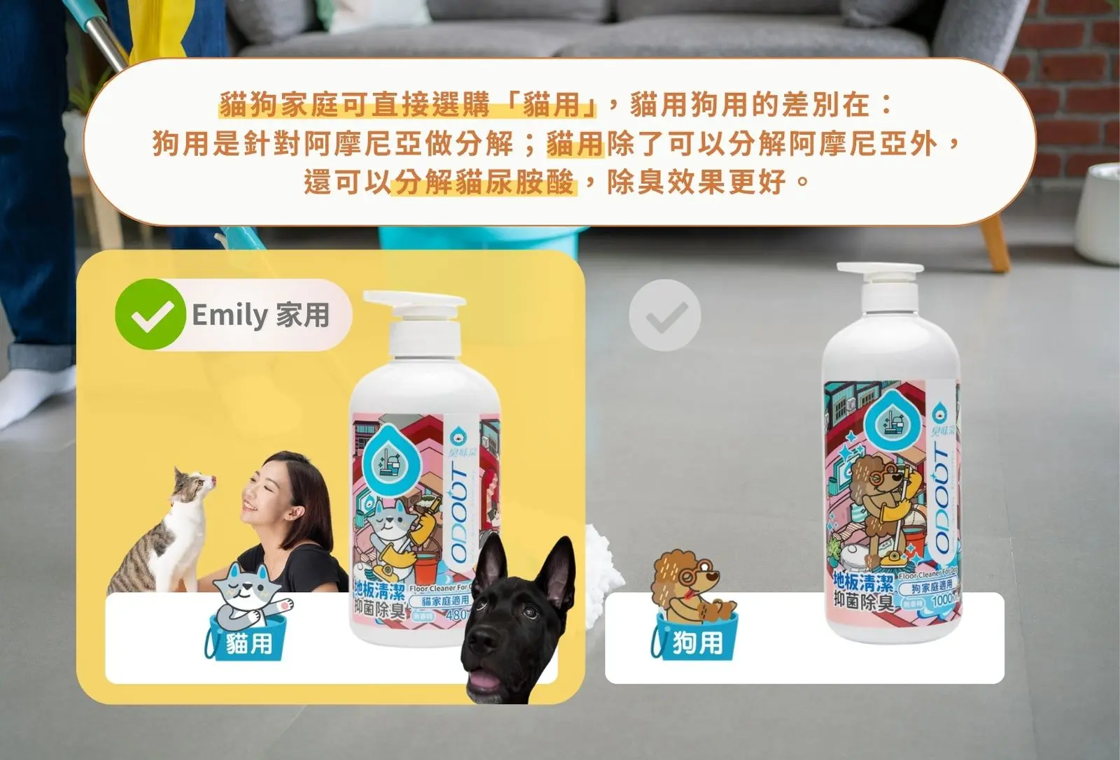 貓用會分解貓尿胺酸，除臭效果更佳，有貓有狗選臭味滾「貓用」地板清潔劑。
