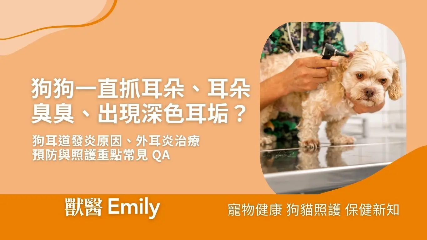 耳朵發炎封面圖