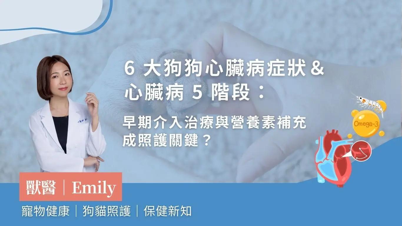 心臟病照護:症狀發現、疾病階段及營養補充