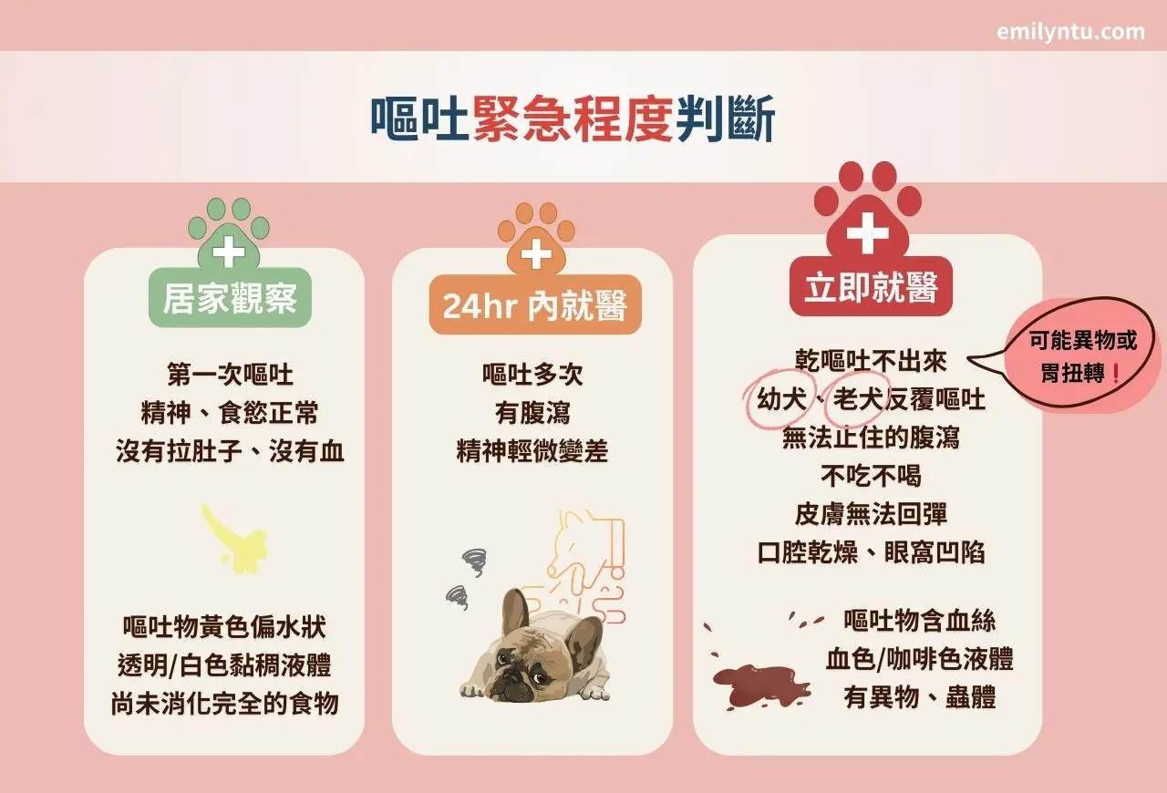 狗狗嘔吐緊急程度判斷,依照整體症狀、嘔吐型態,判斷可先居家觀察或需立即就醫