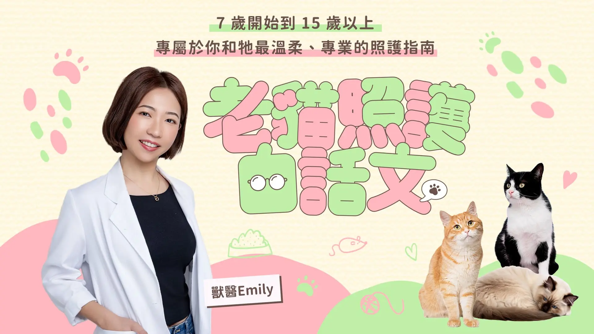 老貓照護白話文主視覺