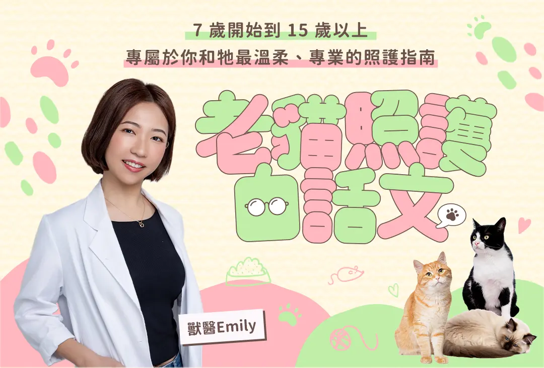 老貓照護白話文 課程頁面 01