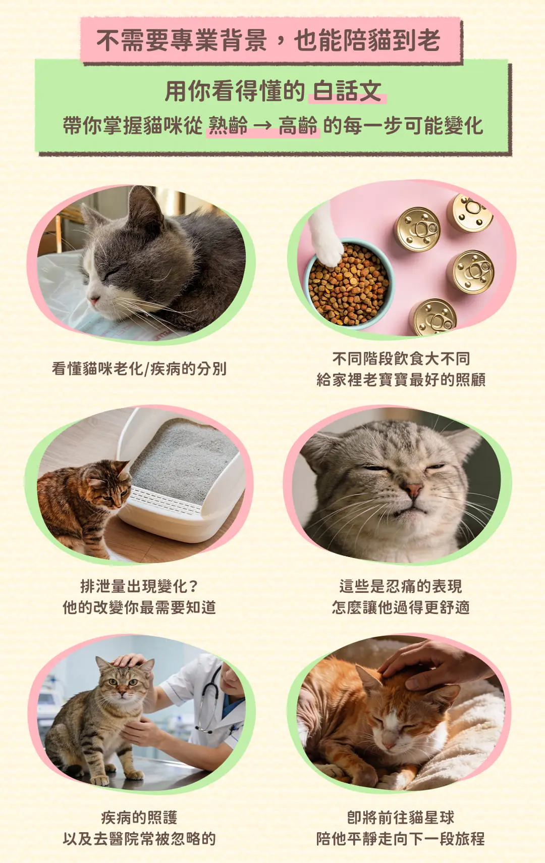 老貓照護白話文 課程頁面 06