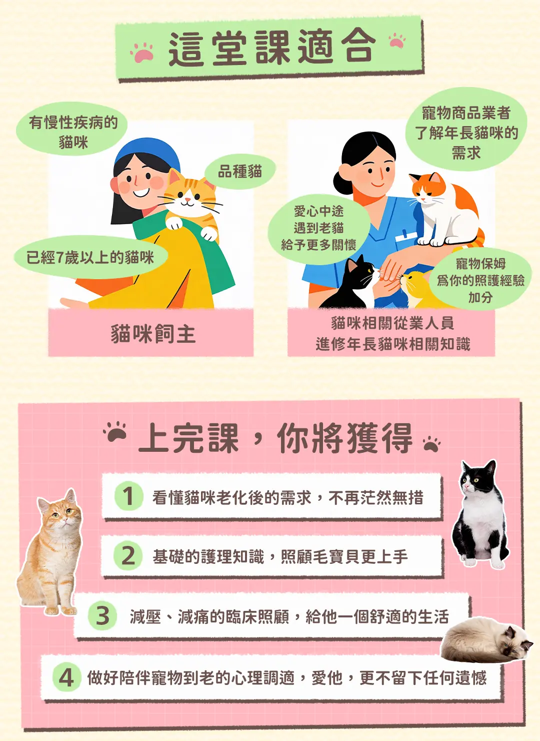 老貓照護白話文 課程頁面 07