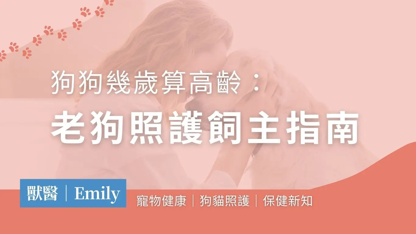 狗狗幾歲算高齡？老狗照護指南