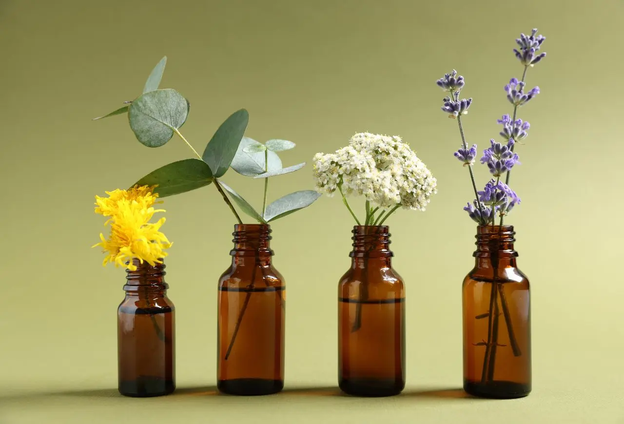 寵物友善與禁忌精油一覽