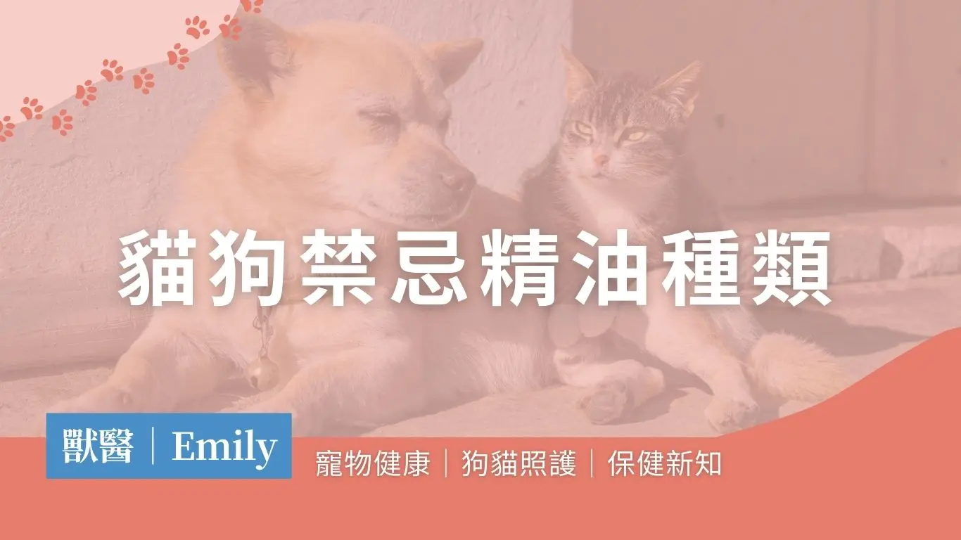 貓狗禁忌精油種類清單