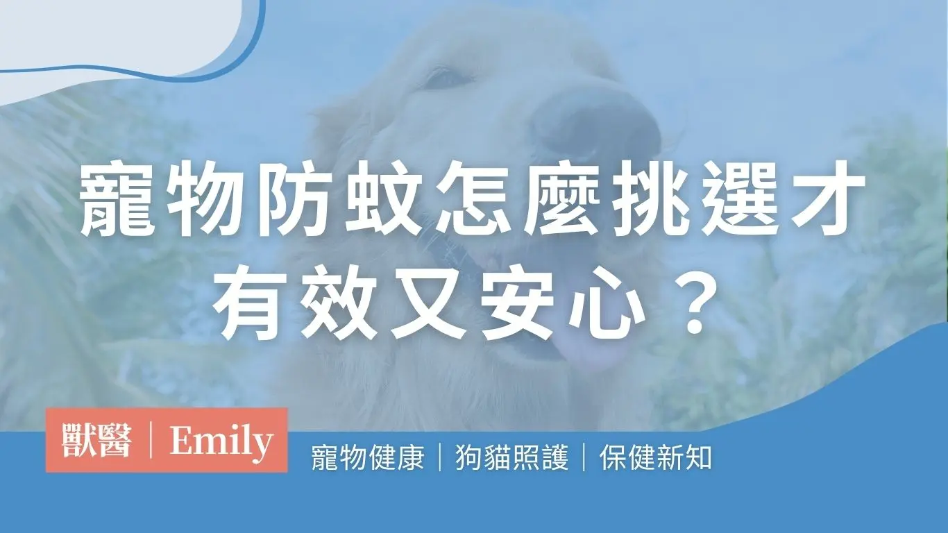 獸醫解析寵物防蚊重點:禁忌成分、防蚊產品選購原則、心絲蟲預防策略