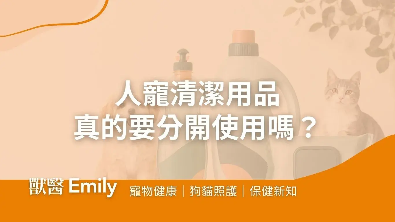 0610封面文字調整 Cropped