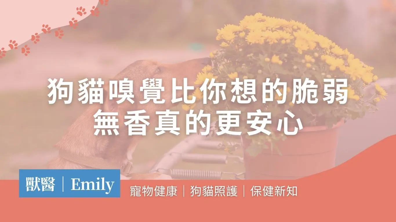 狗貓嗅覺
