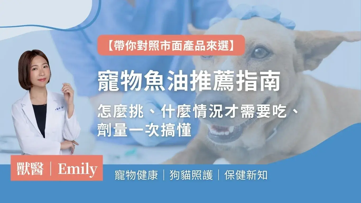 魚油挑選封面圖